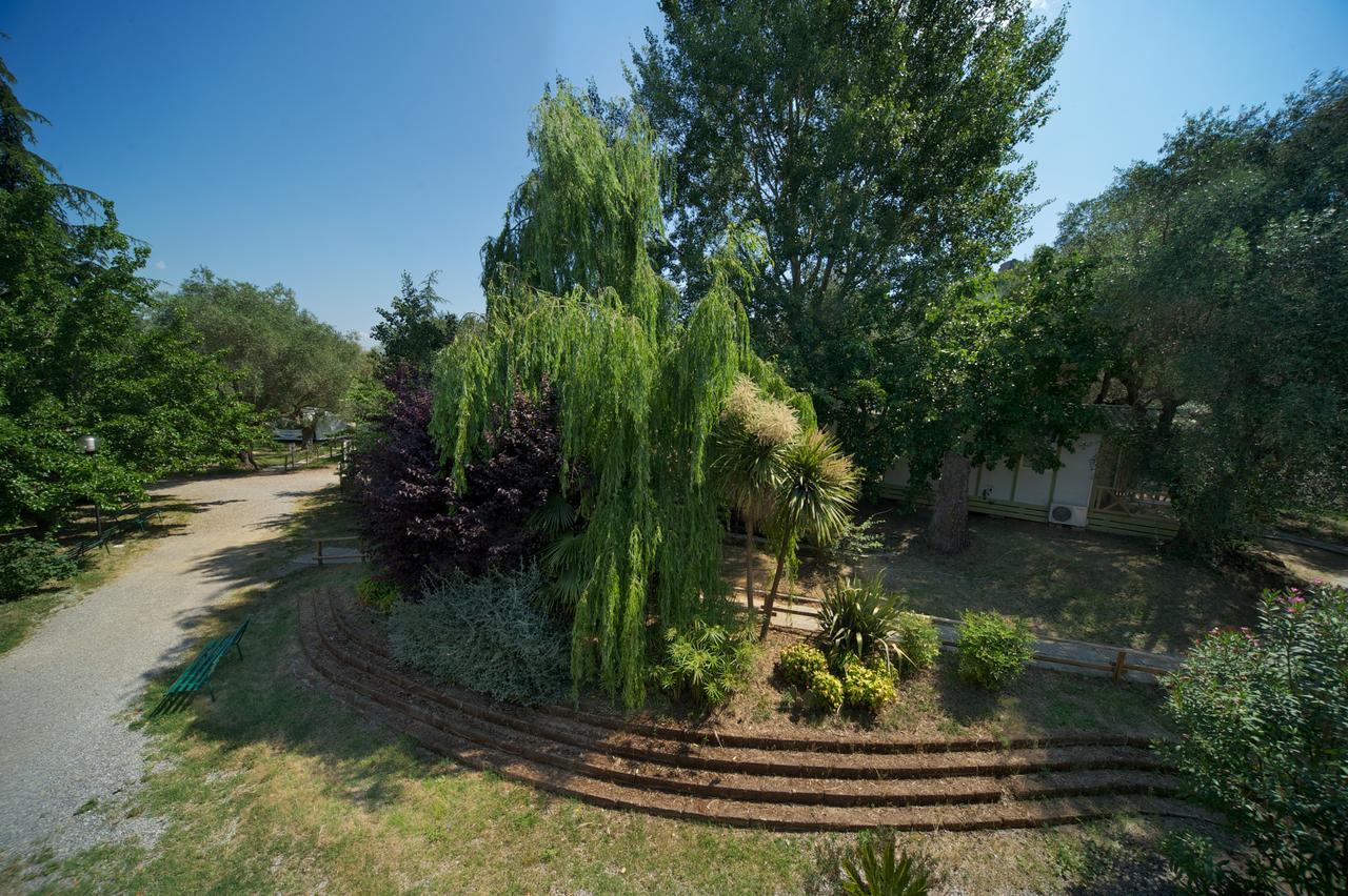 Villaggio Turistico Camping Il Fontino Scarlino Exterior foto